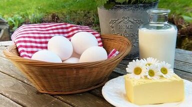 Fixed rules about protein diet